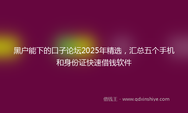 黑户能下的口子论坛2025年精选，汇总五个手机和身份证快速借钱软件