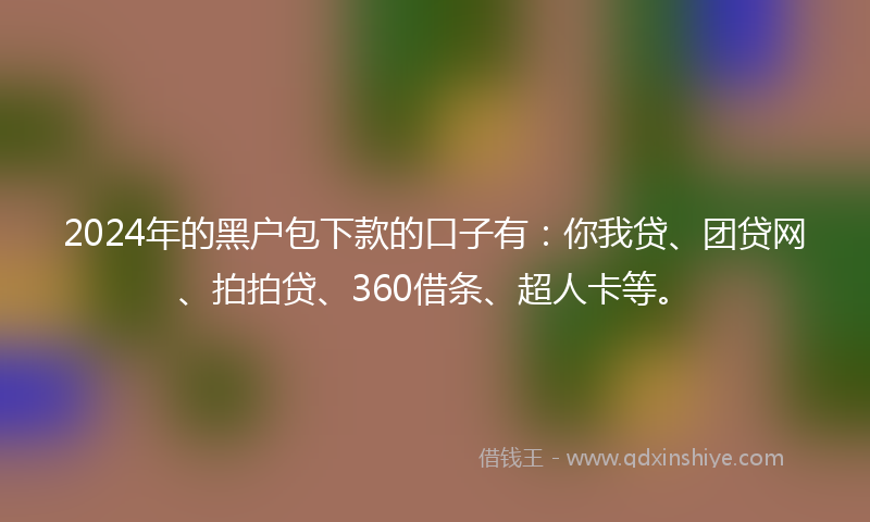 2024年的黑户包下款的口子有：你我贷、团贷网、拍拍贷、360借条、超人卡等。
