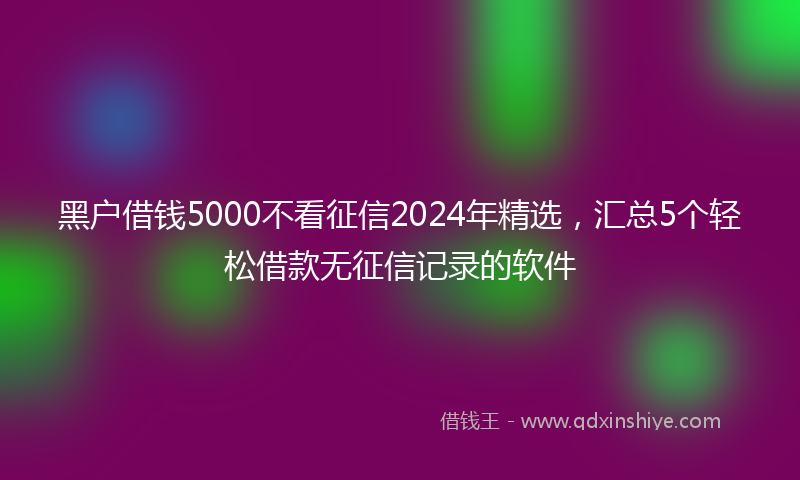 黑户借钱5000不看征信2024年精选，汇总5个轻松借款无征信记录的软件