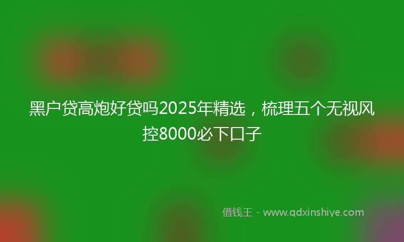 黑户贷高炮好贷吗2025年精选，梳理五个无视风控8000必下口子