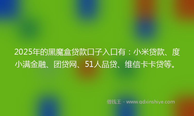 2025年的黑魔盒贷款口子入口有：小米贷款、度小满金融、团贷网、51人品贷、维信卡卡贷等。