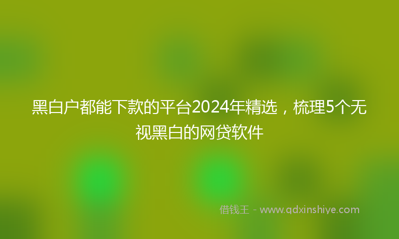黑白户都能下款的平台2024年精选，梳理5个无视黑白的网贷软件