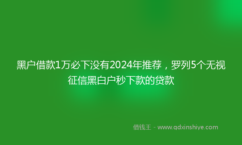 黑户借款1万必下没有2024年推荐，罗列5个无视征信黑白户秒下款的贷款