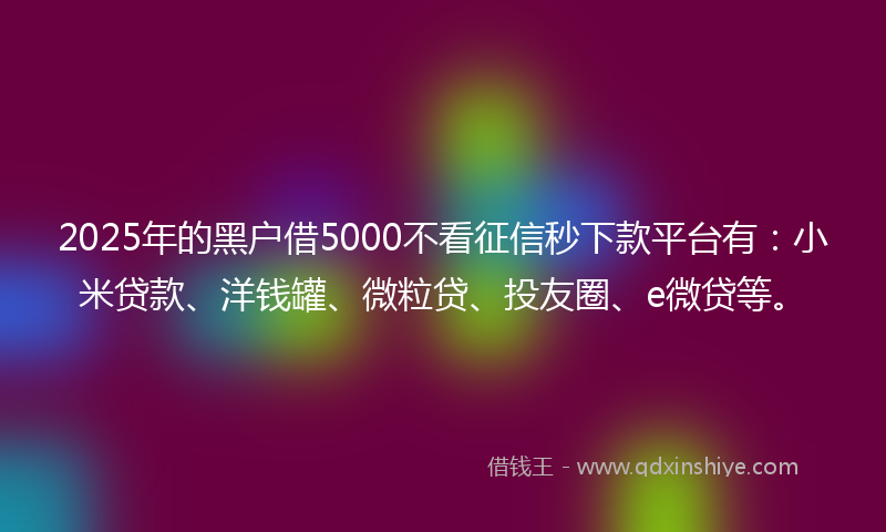 2025年的黑户借5000不看征信秒下款平台有：小米贷款、洋钱罐、微粒贷、投友圈、e微贷等。