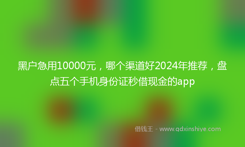 黑户急用10000元，哪个渠道好2024年推荐，盘点五个手机身份证秒借现金的app