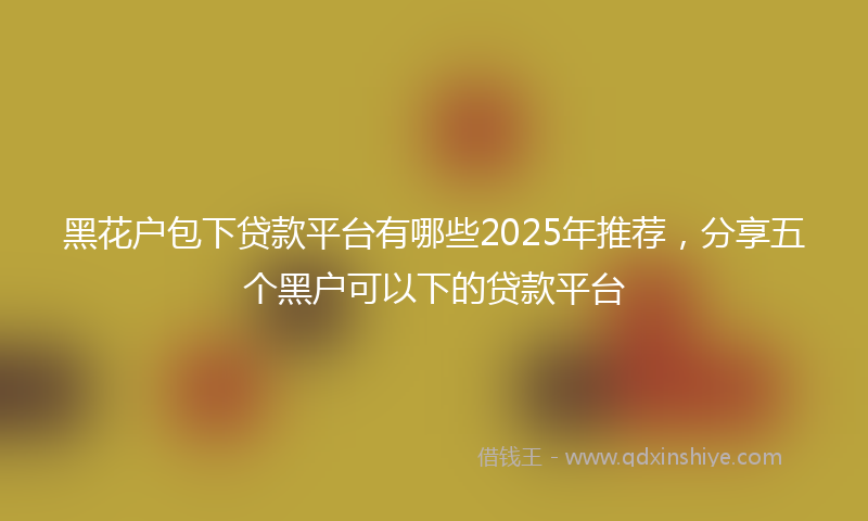 黑花户包下贷款平台有哪些2025年推荐，分享五个黑户可以下的贷款平台