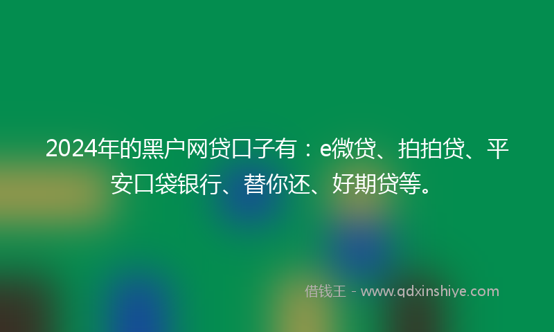 2024年的黑户网贷口子有：e微贷、拍拍贷、平安口袋银行、替你还、好期贷等。