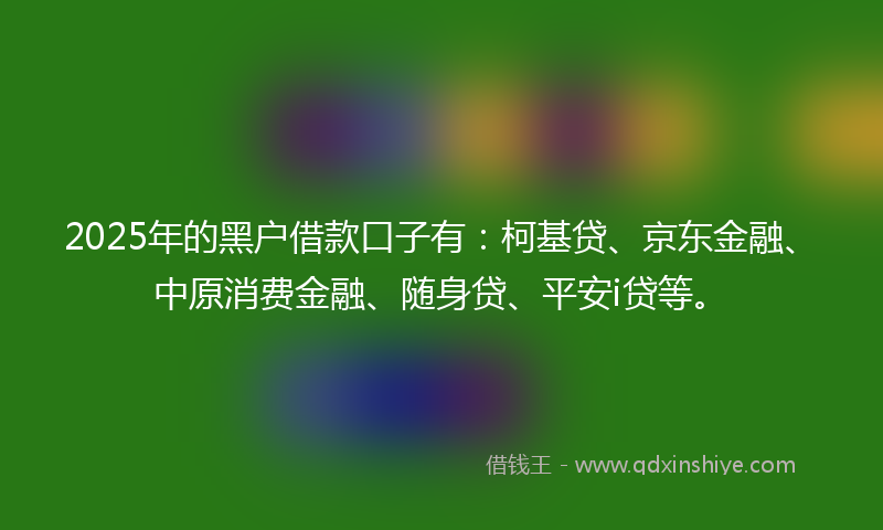2025年的黑户借款口子有：柯基贷、京东金融、中原消费金融、随身贷、平安i贷等。