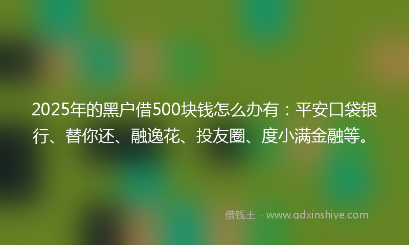 2025年的黑户借500块钱怎么办有：平安口袋银行、替你还、融逸花、投友圈、度小满金融等。