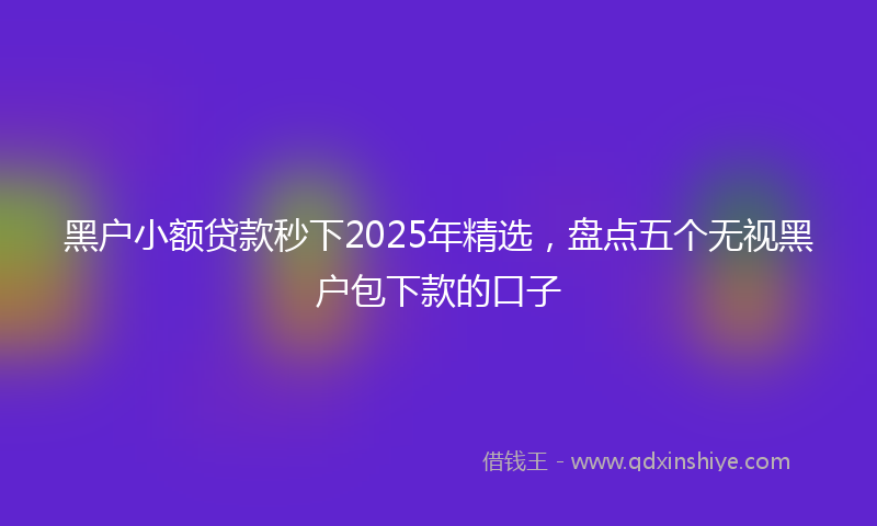 黑户小额贷款秒下2025年精选，盘点五个无视黑户包下款的口子