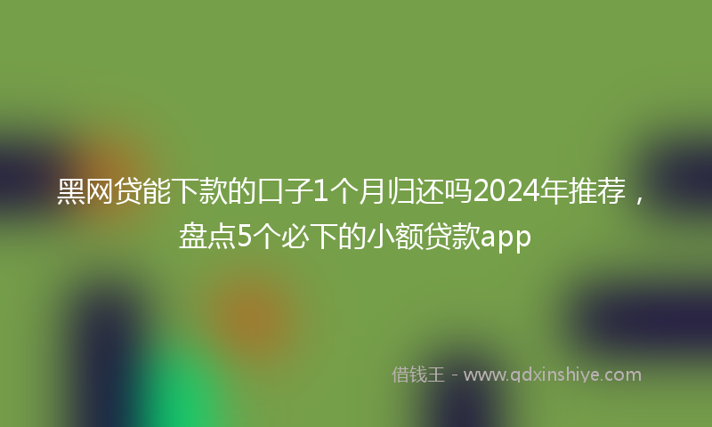 黑网贷能下款的口子1个月归还吗2024年推荐，盘点5个必下的小额贷款app