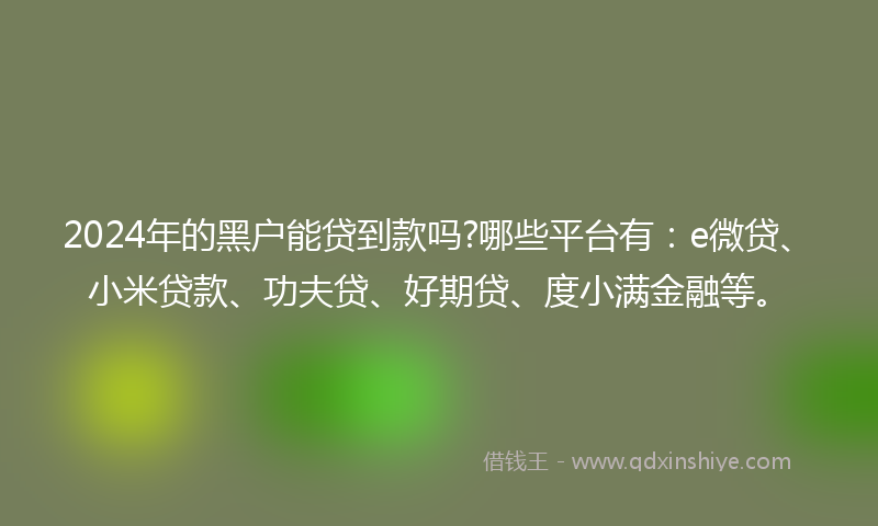2024年的黑户能贷到款吗?哪些平台有：e微贷、小米贷款、功夫贷、好期贷、度小满金融等。