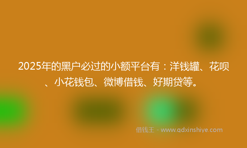2025年的黑户必过的小额平台有：洋钱罐、花呗、小花钱包、微博借钱、好期贷等。