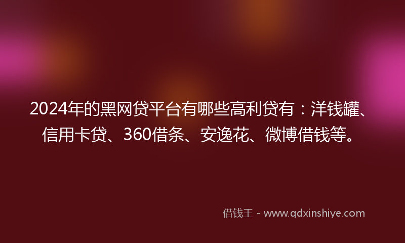 2024年的黑网贷平台有哪些高利贷有：洋钱罐、信用卡贷、360借条、安逸花、微博借钱等。