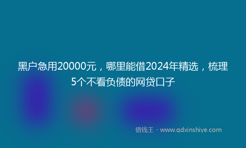 黑户急用20000元，哪里能借2024年精选，梳理5个不看负债的网贷口子