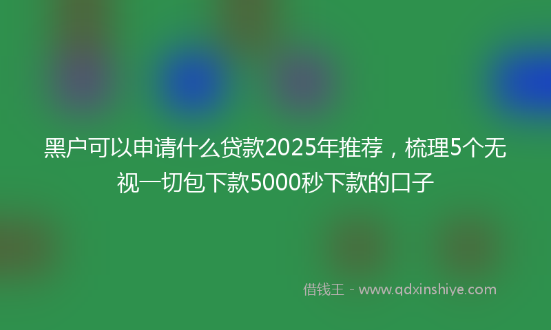 黑户可以申请什么贷款2025年推荐，梳理5个无视一切包下款5000秒下款的口子
