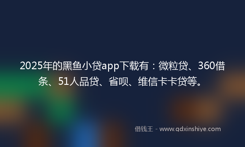 2025年的黑鱼小贷app下载有：微粒贷、360借条、51人品贷、省呗、维信卡卡贷等。