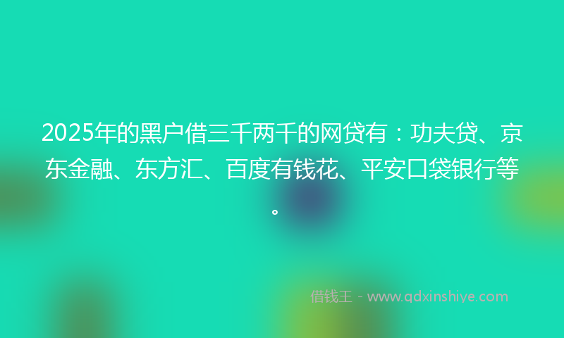 2025年的黑户借三千两千的网贷有：功夫贷、京东金融、东方汇、百度有钱花、平安口袋银行等。