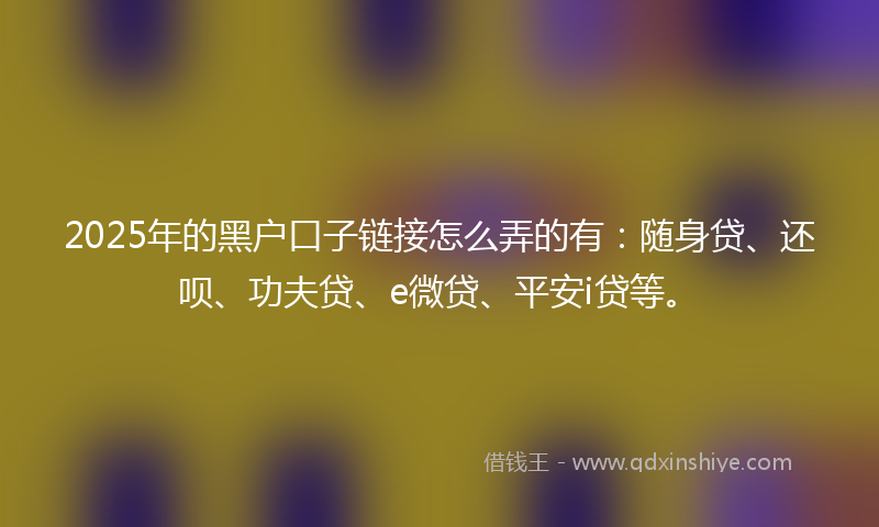 2025年的黑户口子链接怎么弄的有：随身贷、还呗、功夫贷、e微贷、平安i贷等。
