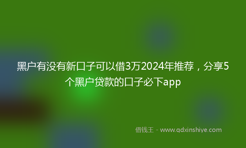 黑户有没有新口子可以借3万2024年推荐，分享5个黑户贷款的口子必下app