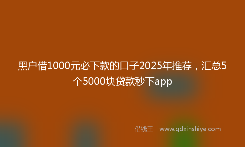 黑户借1000元必下款的口子2025年推荐，汇总5个5000块贷款秒下app