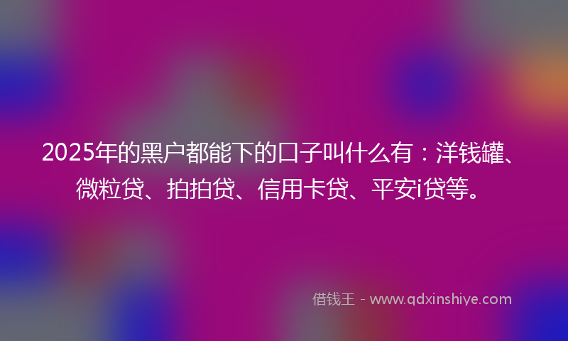 2025年的黑户都能下的口子叫什么有：洋钱罐、微粒贷、拍拍贷、信用卡贷、平安i贷等。