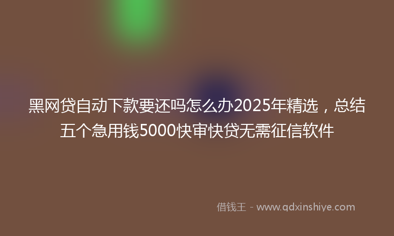 黑网贷自动下款要还吗怎么办2025年精选，总结五个急用钱5000快审快贷无需征信软件