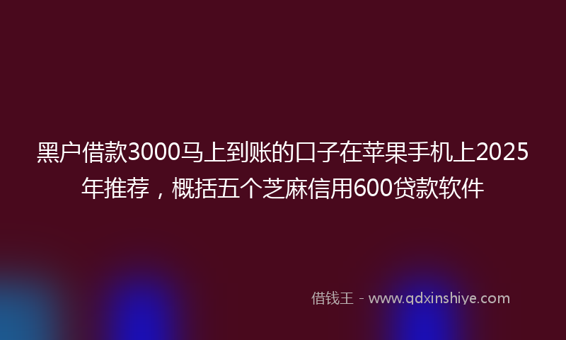 黑户借款3000马上到账的口子在苹果手机上2025年推荐，概括五个芝麻信用600贷款软件