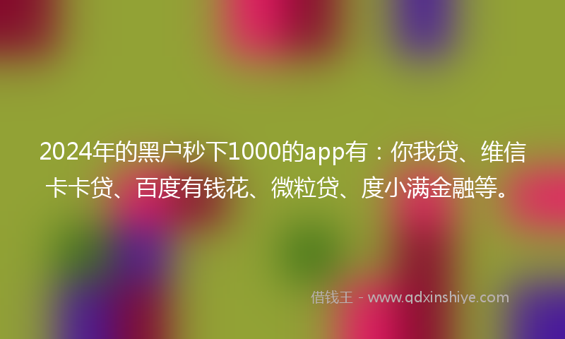 2024年的黑户秒下1000的app有：你我贷、维信卡卡贷、百度有钱花、微粒贷、度小满金融等。