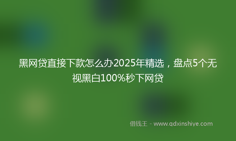 黑网贷直接下款怎么办2025年精选，盘点5个无视黑白100%秒下网贷