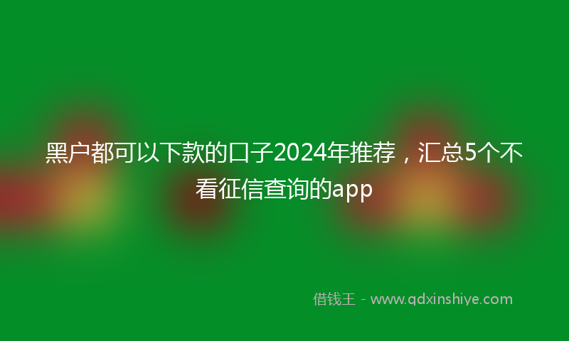 黑户都可以下款的口子2024年推荐，汇总5个不看征信查询的app
