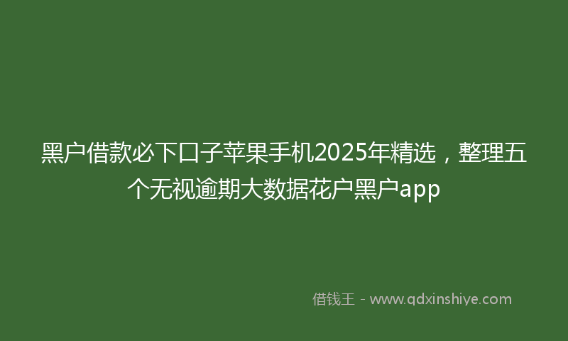 黑户借款必下口子苹果手机2025年精选，整理五个无视逾期大数据花户黑户app