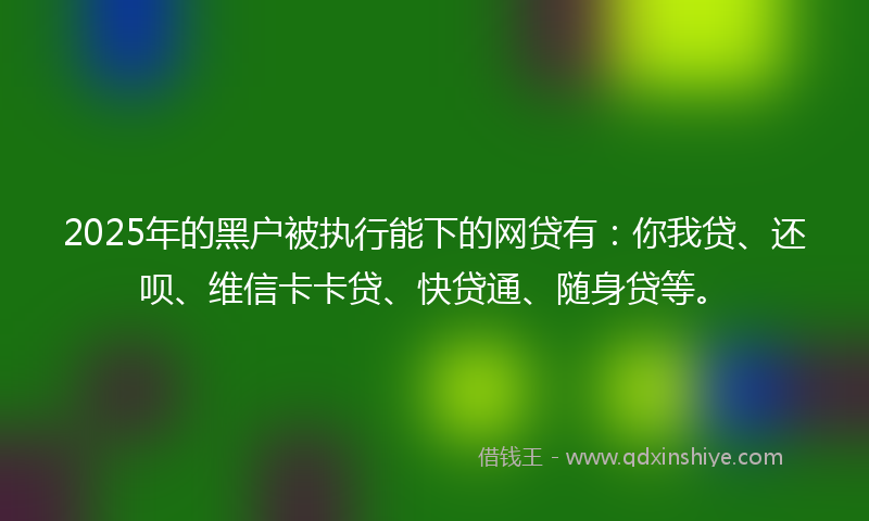 2025年的黑户被执行能下的网贷有：你我贷、还呗、维信卡卡贷、快贷通、随身贷等。