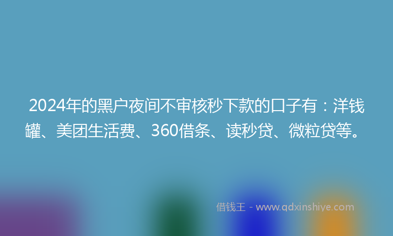 2024年的黑户夜间不审核秒下款的口子有：洋钱罐、美团生活费、360借条、读秒贷、微粒贷等。