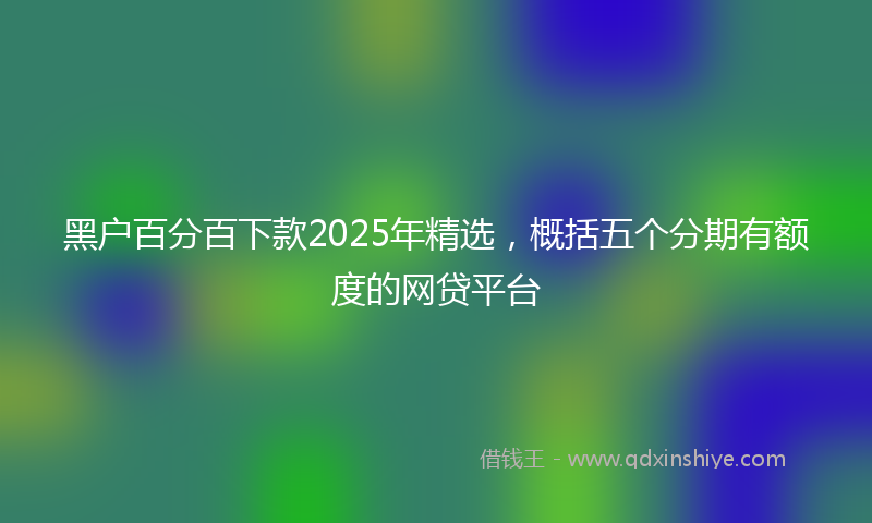 黑户百分百下款2025年精选，概括五个分期有额度的网贷平台