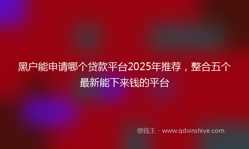 黑户能申请哪个贷款平台2025年推荐，整合五个最新能下来钱的平台