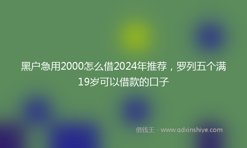 黑户急用2000怎么借2024年推荐，罗列五个满19岁可以借款的口子