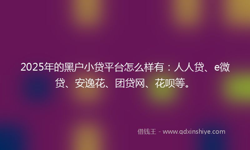 2025年的黑户小贷平台怎么样有：人人贷、e微贷、安逸花、团贷网、花呗等。