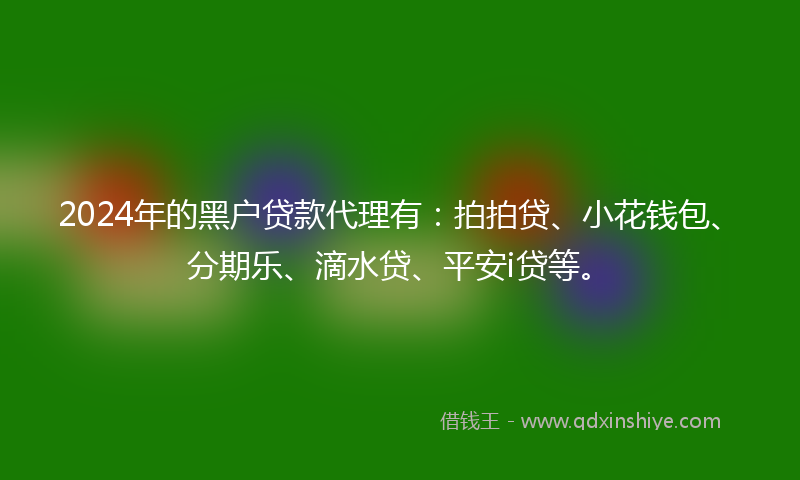 2024年的黑户贷款代理有：拍拍贷、小花钱包、分期乐、滴水贷、平安i贷等。
