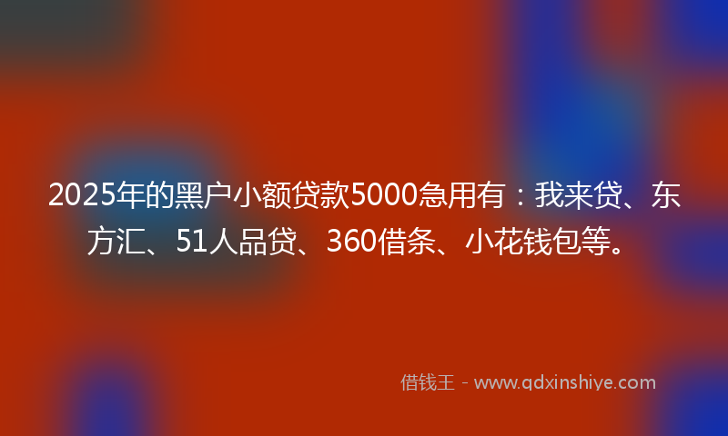 2025年的黑户小额贷款5000急用有：我来贷、东方汇、51人品贷、360借条、小花钱包等。