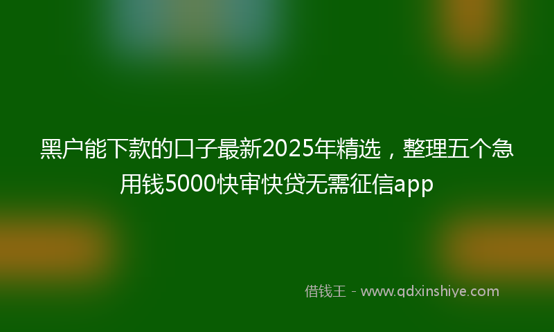 黑户能下款的口子最新2025年精选，整理五个急用钱5000快审快贷无需征信app