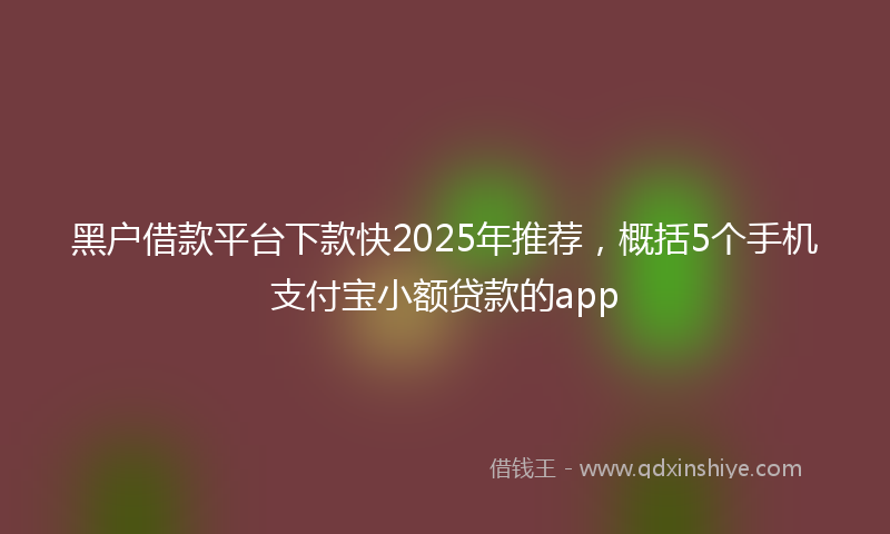 黑户借款平台下款快2025年推荐，概括5个手机支付宝小额贷款的app