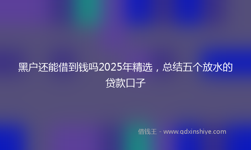 黑户还能借到钱吗2025年精选，总结五个放水的贷款口子