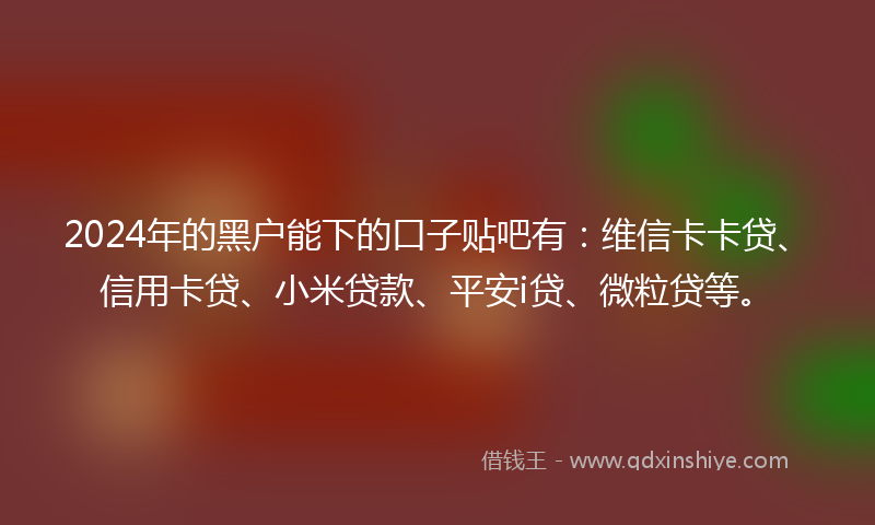 2024年的黑户能下的口子贴吧有：维信卡卡贷、信用卡贷、小米贷款、平安i贷、微粒贷等。
