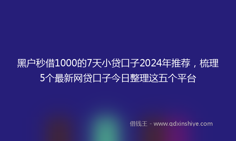 黑户秒借1000的7天小贷口子2024年推荐，梳理5个最新网贷口子今日整理这五个平台