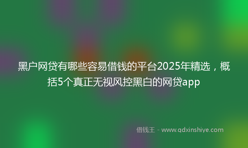 黑户网贷有哪些容易借钱的平台2025年精选，概括5个真正无视风控黑白的网贷app