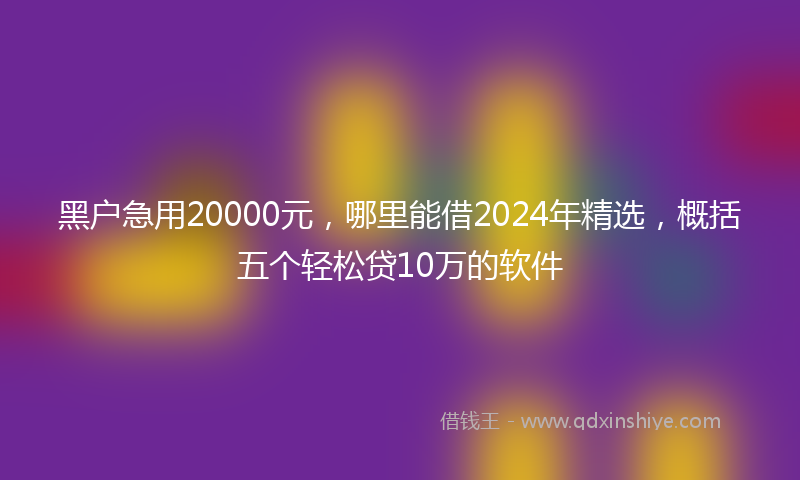 黑户急用20000元，哪里能借2024年精选，概括五个轻松贷10万的软件