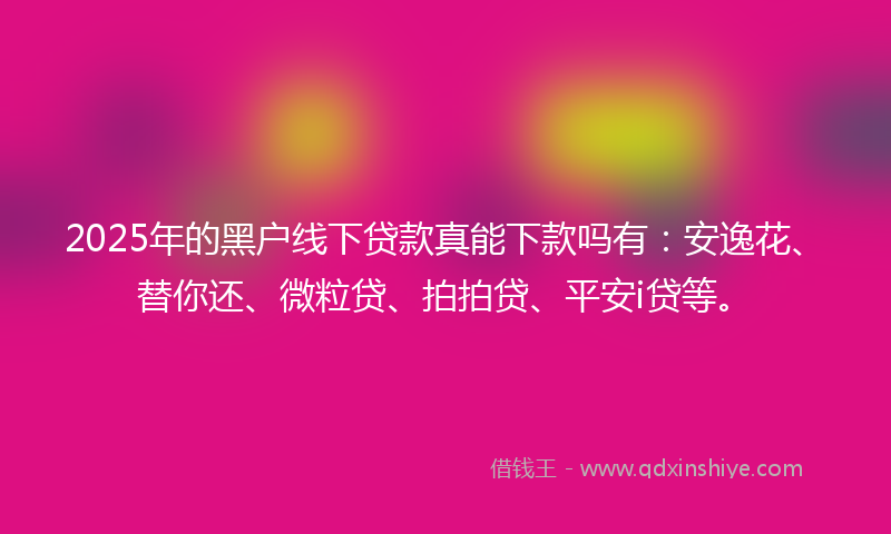 2025年的黑户线下贷款真能下款吗有：安逸花、替你还、微粒贷、拍拍贷、平安i贷等。