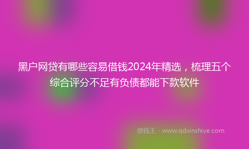 黑户网贷有哪些容易借钱2024年精选，梳理五个综合评分不足有负债都能下款软件