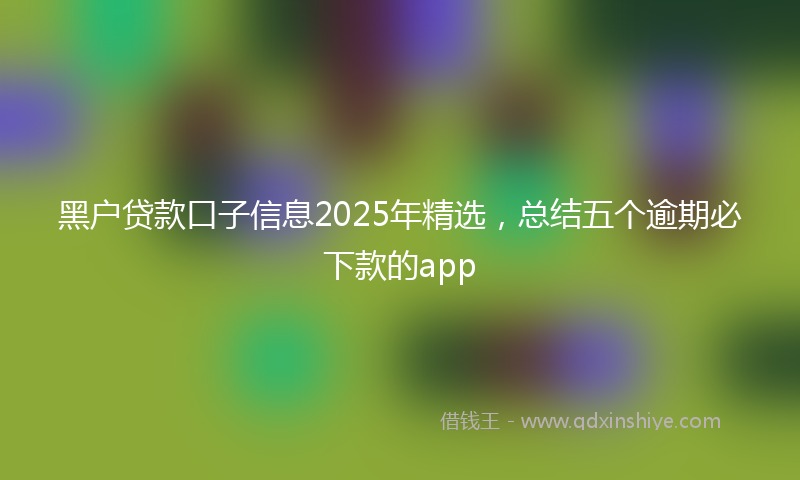 黑户贷款口子信息2025年精选，总结五个逾期必下款的app